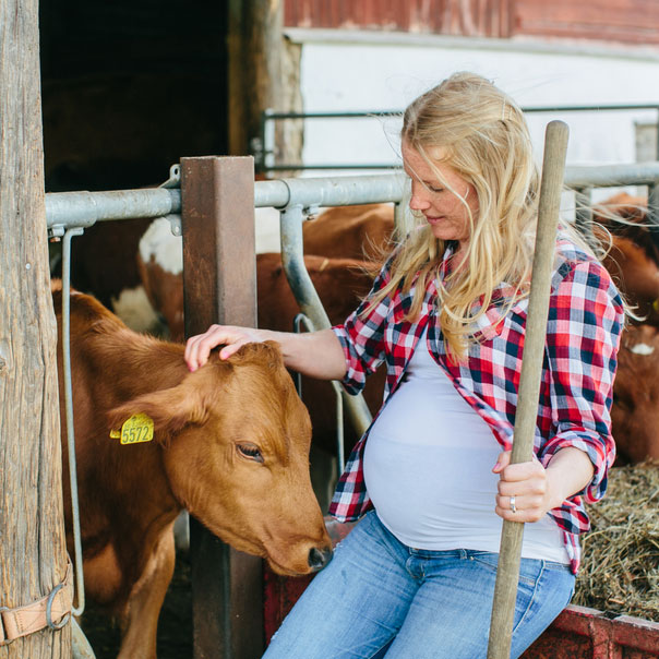Gravid kvinnlig lantbrukare klappar en ko. Foto.