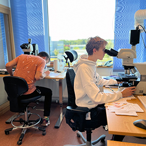 Två studenter sitter vid varsitt bord och tittar i mikroskop.