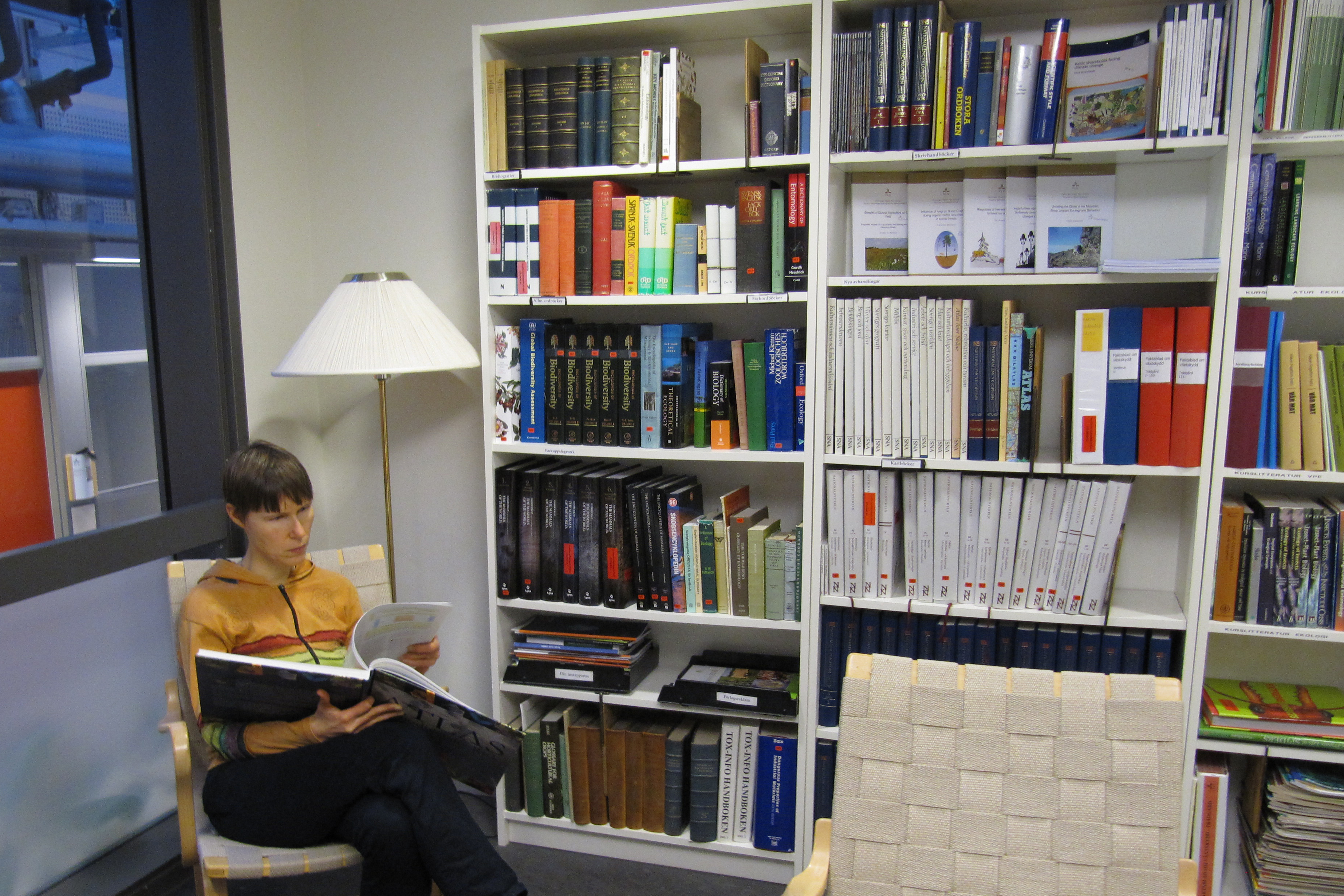 Person läser bok i biblioteksmiljö, foto.