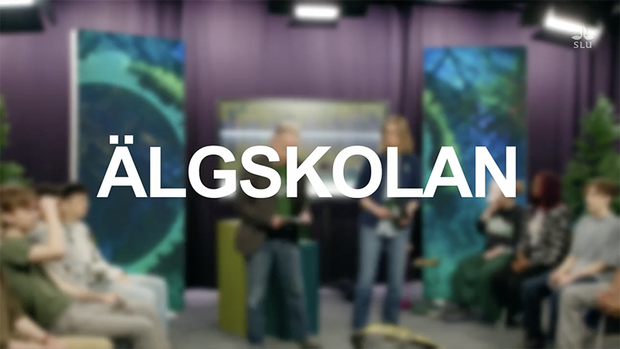 Skärmdump från Älgskolan TV med gymnasiet