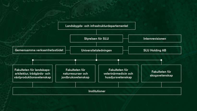 Organisationsschema