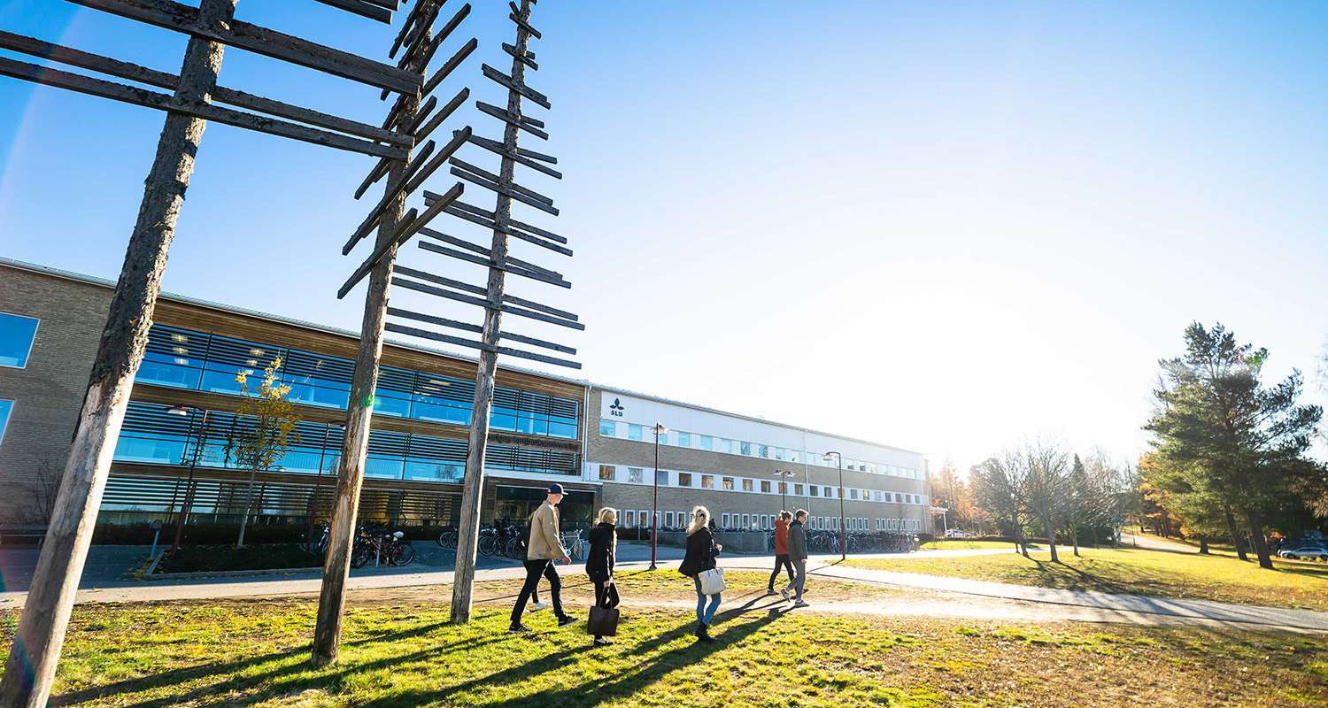 Kontorsbyggnad i bakggrunden med studenter som passerar i förgrunden. Foto.