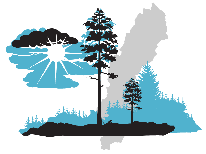 Tallar med sol och moln ovan, i bakgrunden en Sverigekarta, illustration.