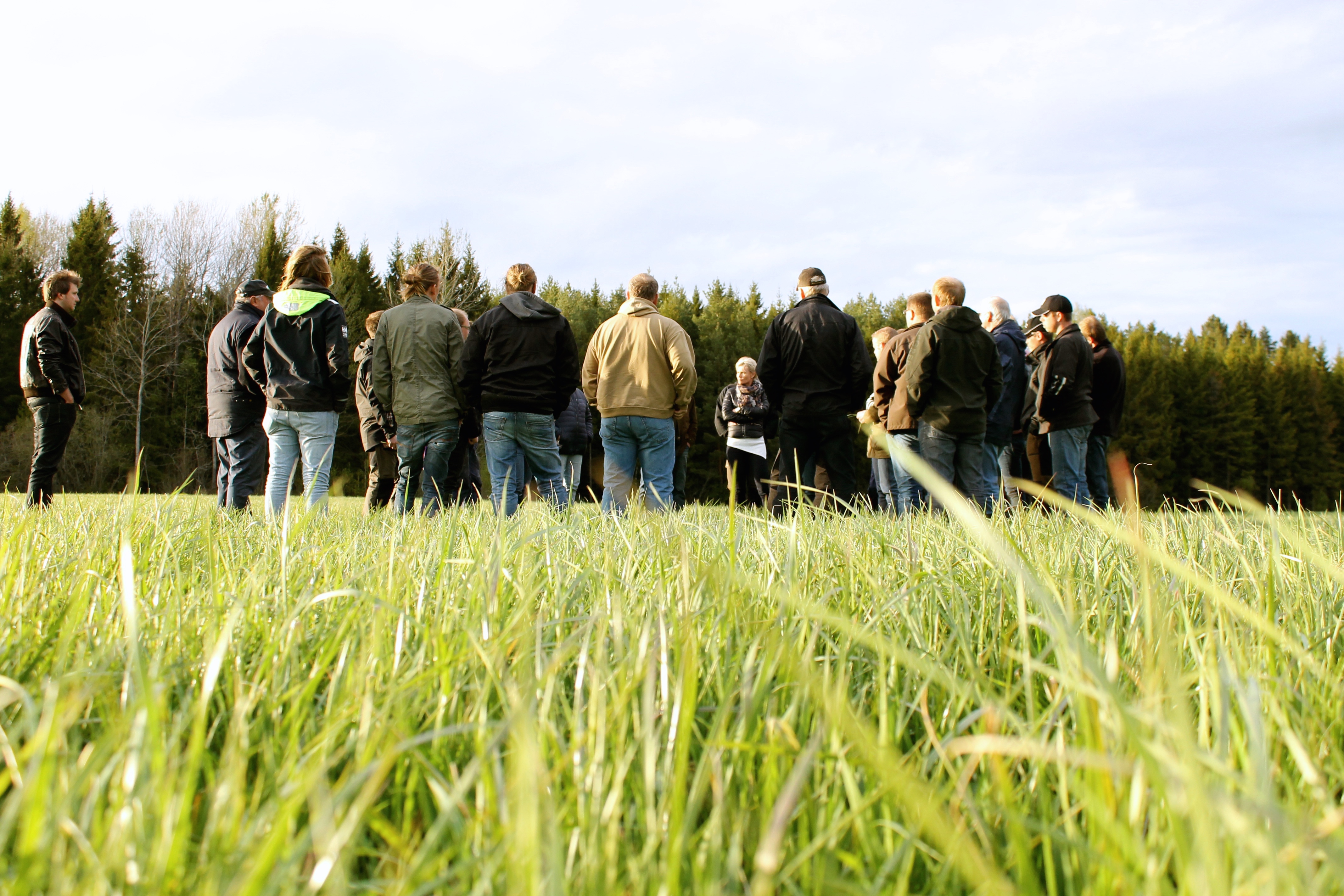 Samling av människor som står på ett grönt fält, foto.