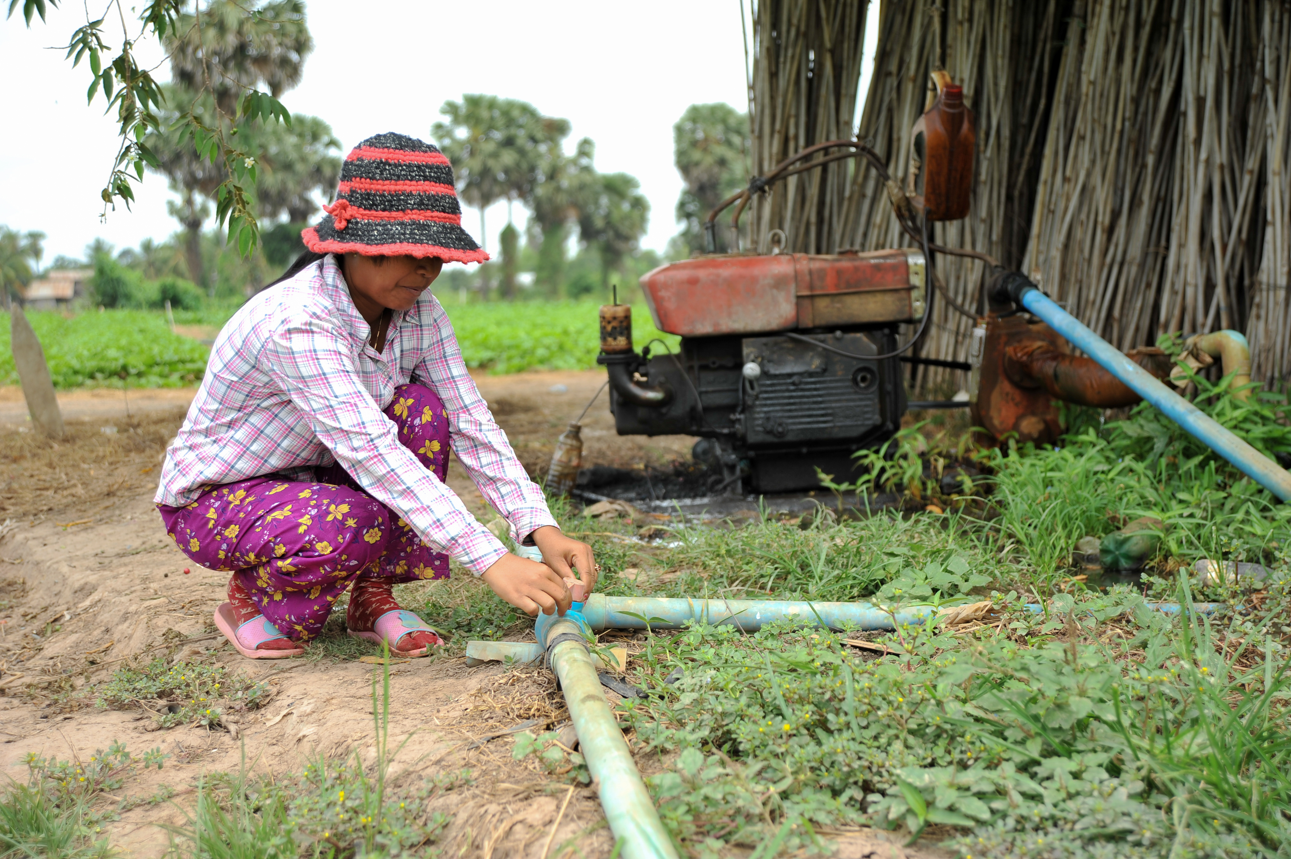 Irrigation system Cambodja