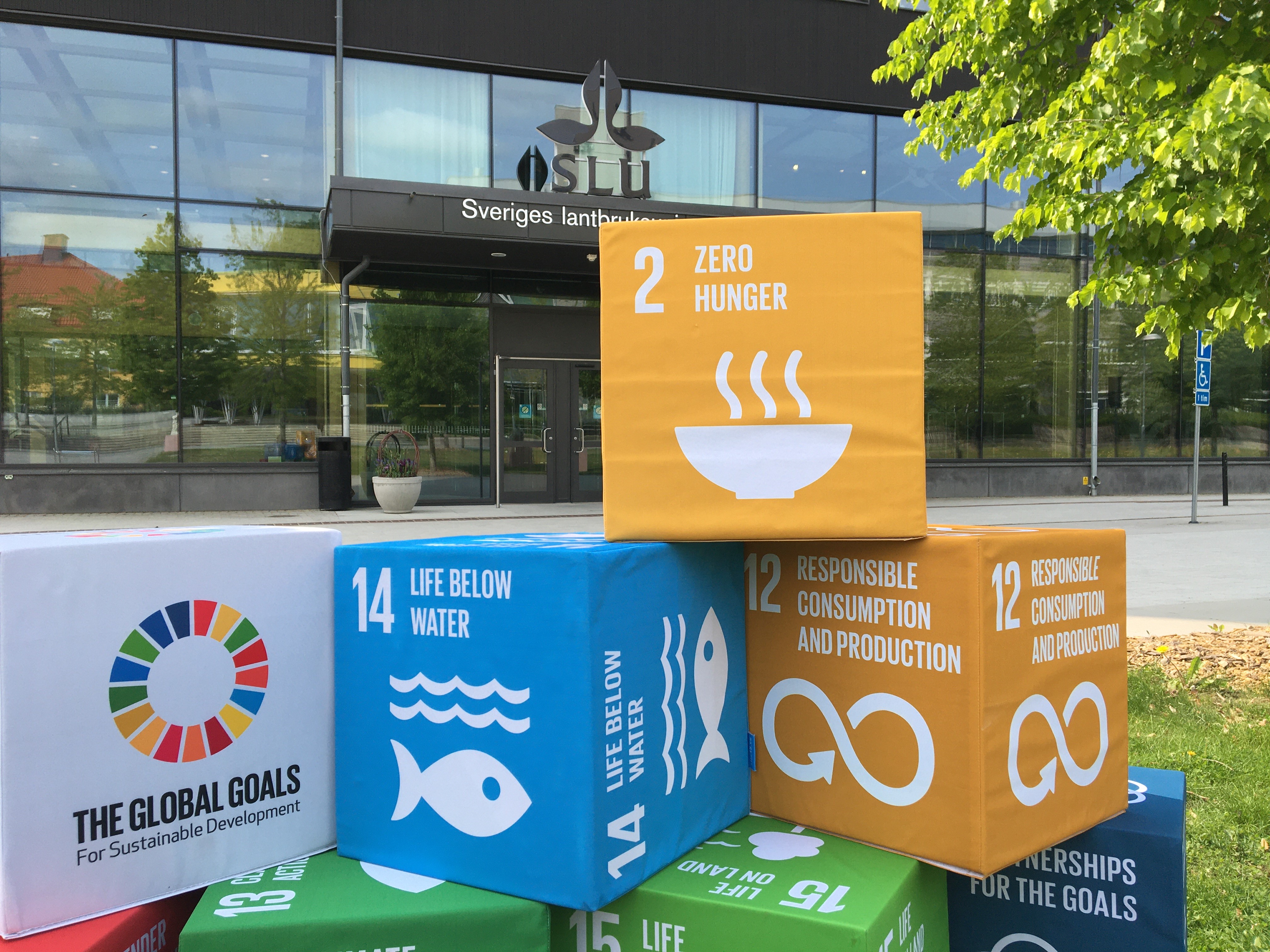 SDG-cubes in front of the main entrance