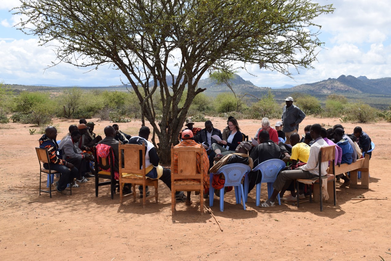 People in a meeting under a tree in Kenya.