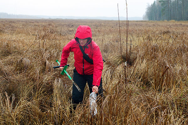 A person in a red jacket takes samples in a field under a grey sky, photo.
