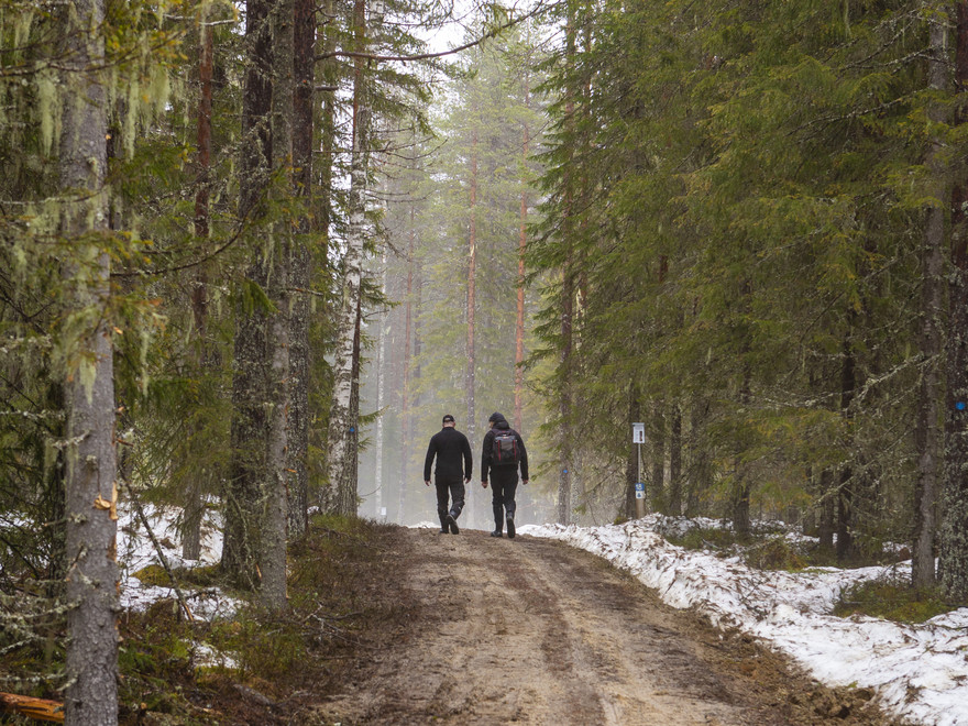 Två män går på en väg i en skog. Foto.