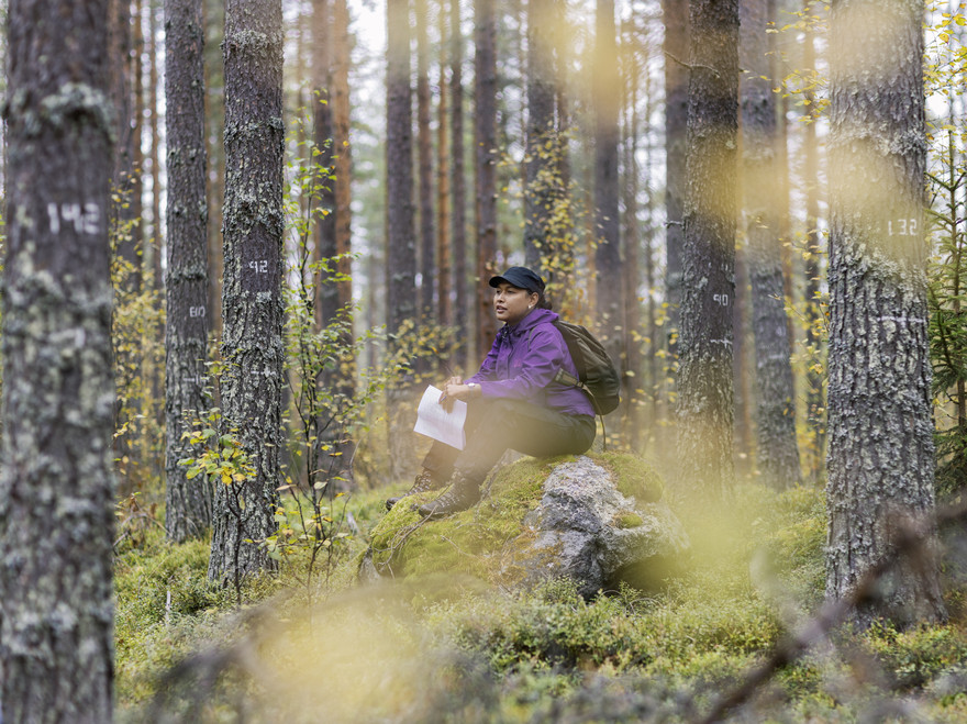 En kvinna sitter i en skog. Foto.