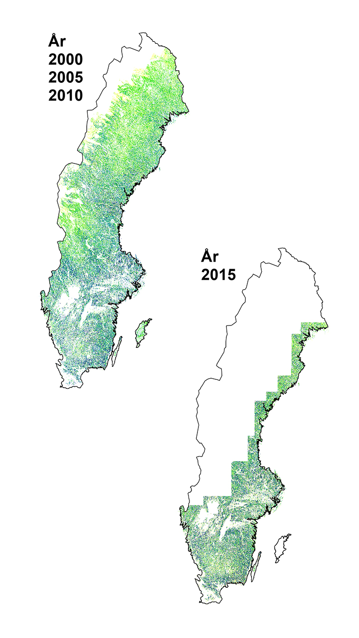 Map of Sweden's national borders partly covered with green areas. Image.