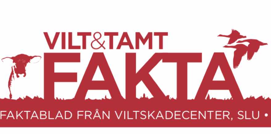 VSC Faktablad logo
