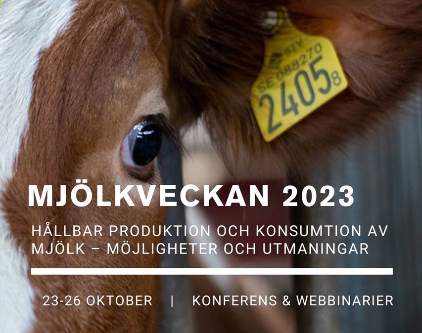 milk-week-2023-test-2