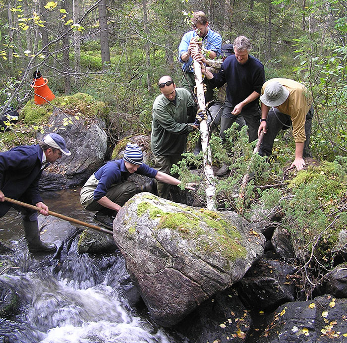 Group moving stone in water course. Photo.