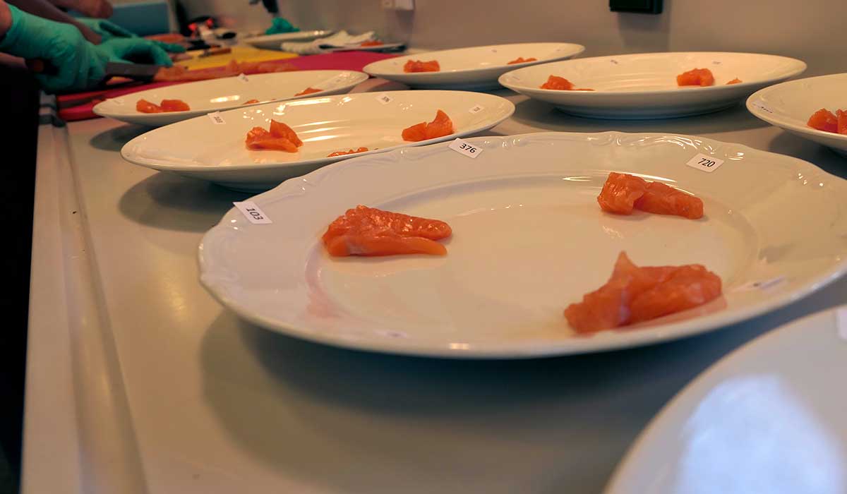 Fish samples on a plate before tasting. Photo. 