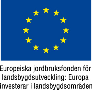 EU flagga Europeiska jordbruksfonden. Bild.