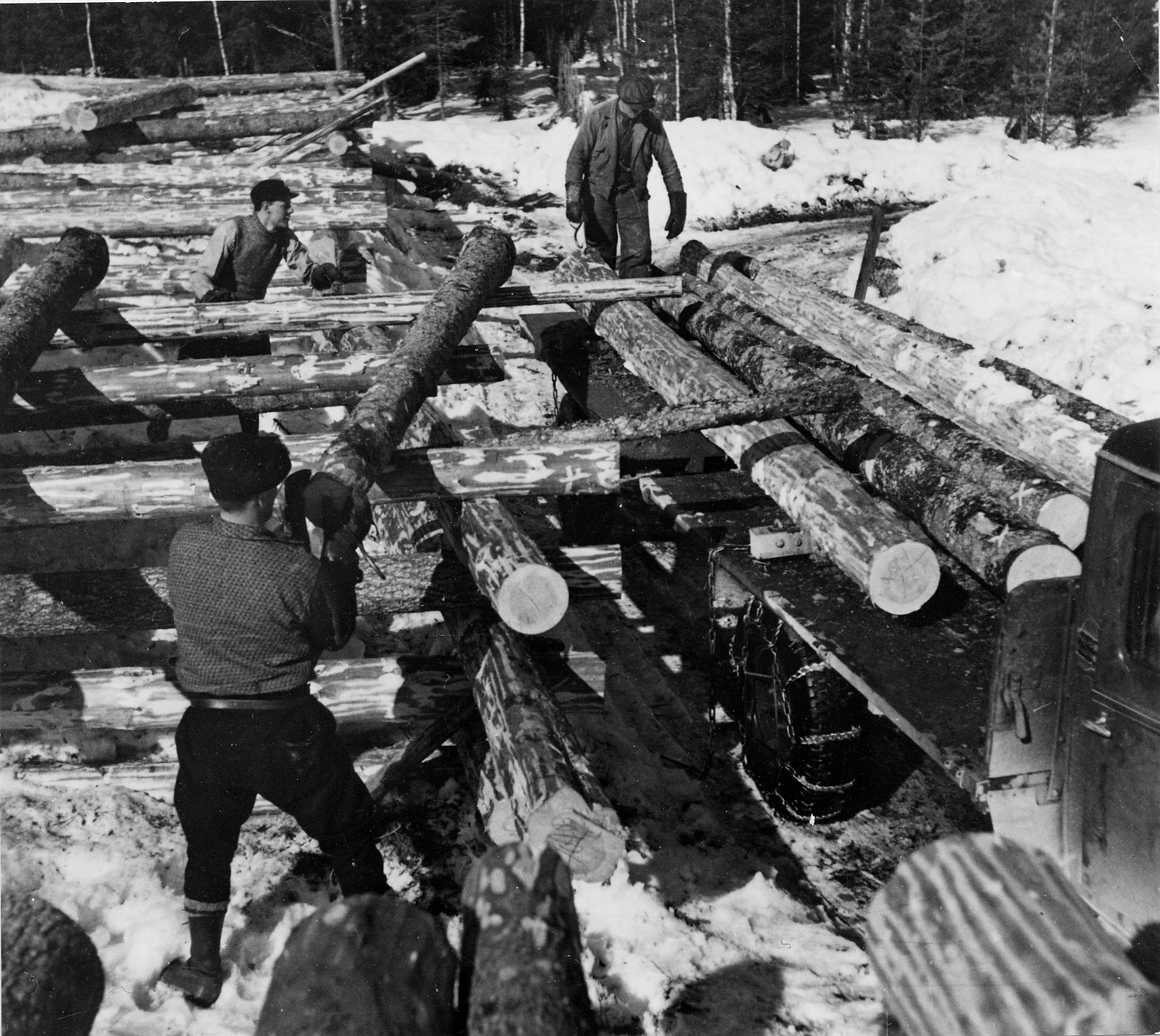 Historical forestry picture