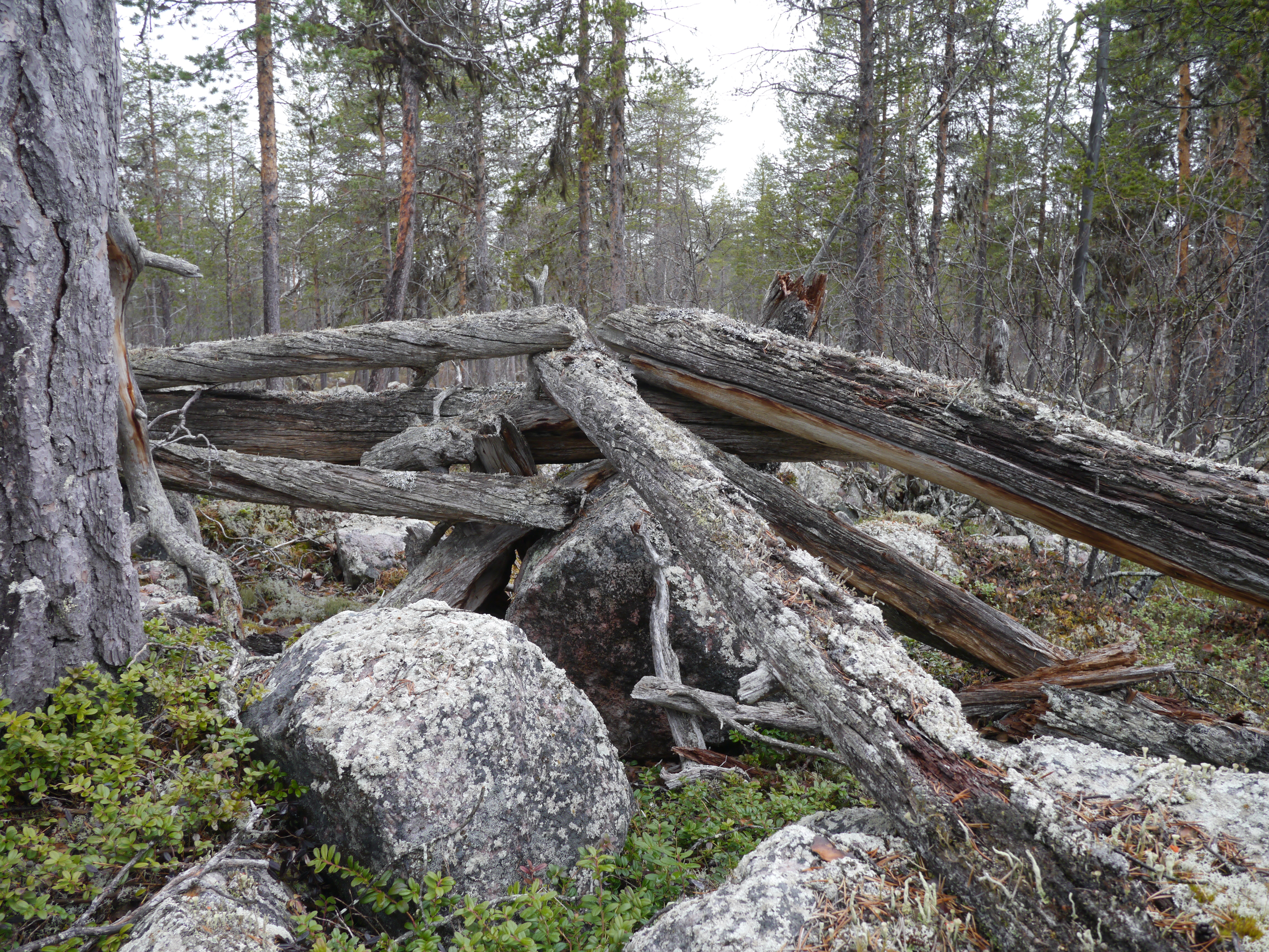 samisk barktäkt, bläckor med ristningar; renstängslet; upplagd sten; teckning av kåtan vid Bläckajaure