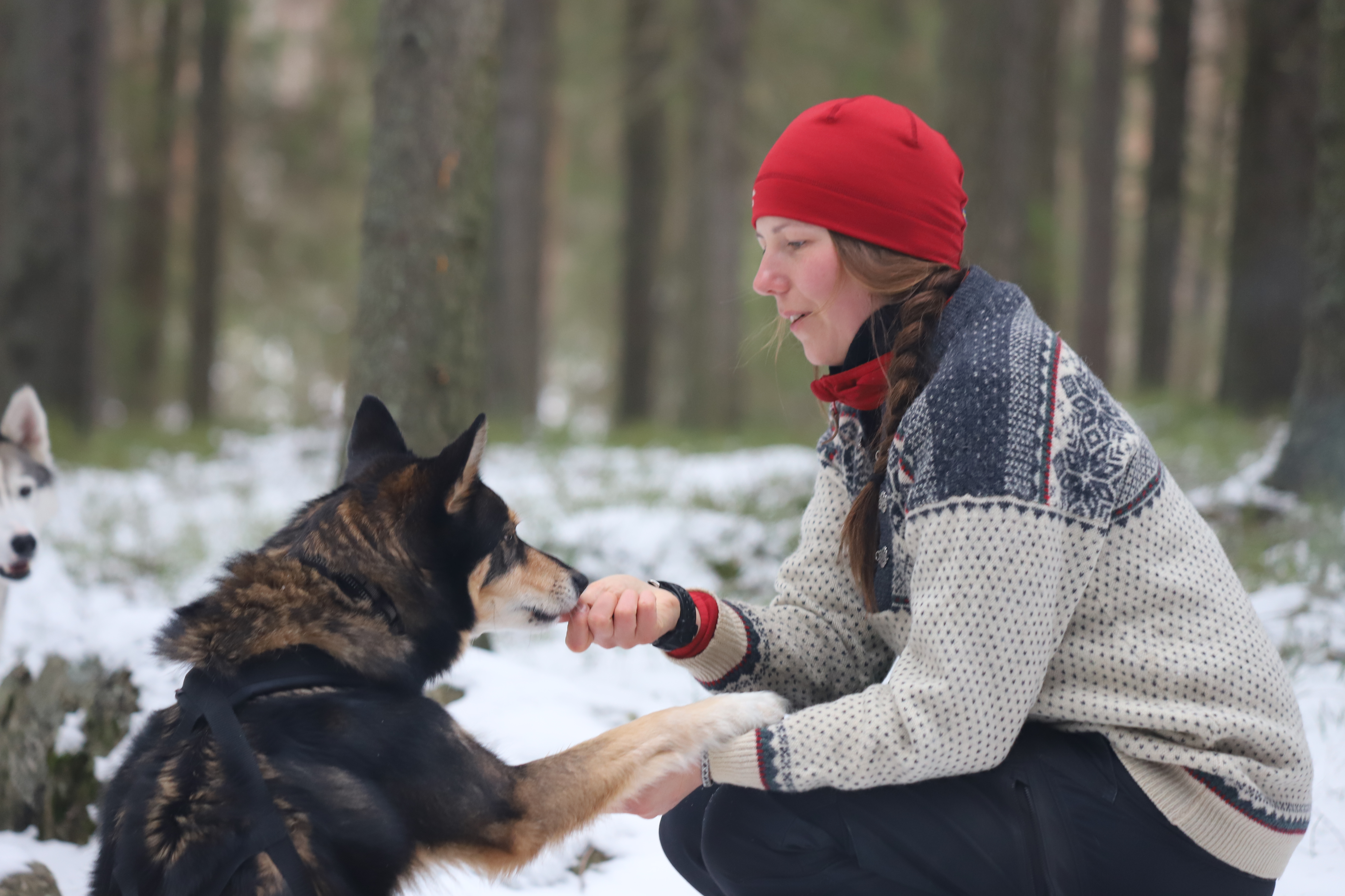 Ulrika Fellman med hund