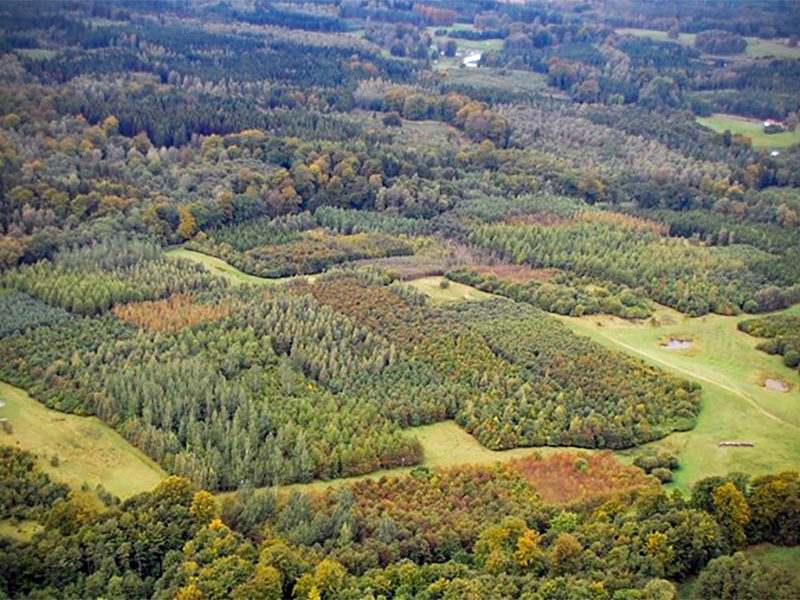 Ett flygfoto över fält och skog. Foto.