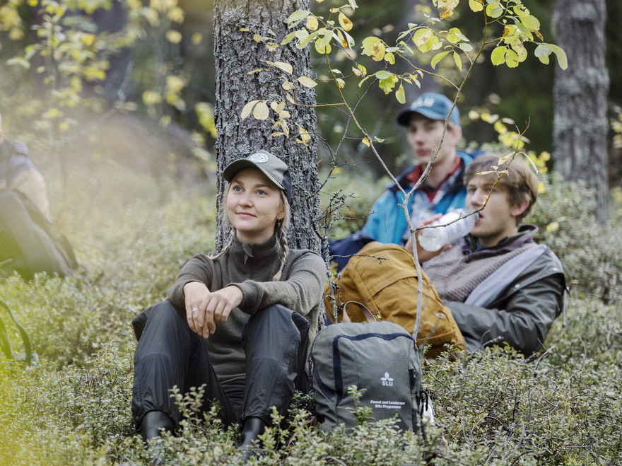Tre personer sitter i en skog. Foto.
