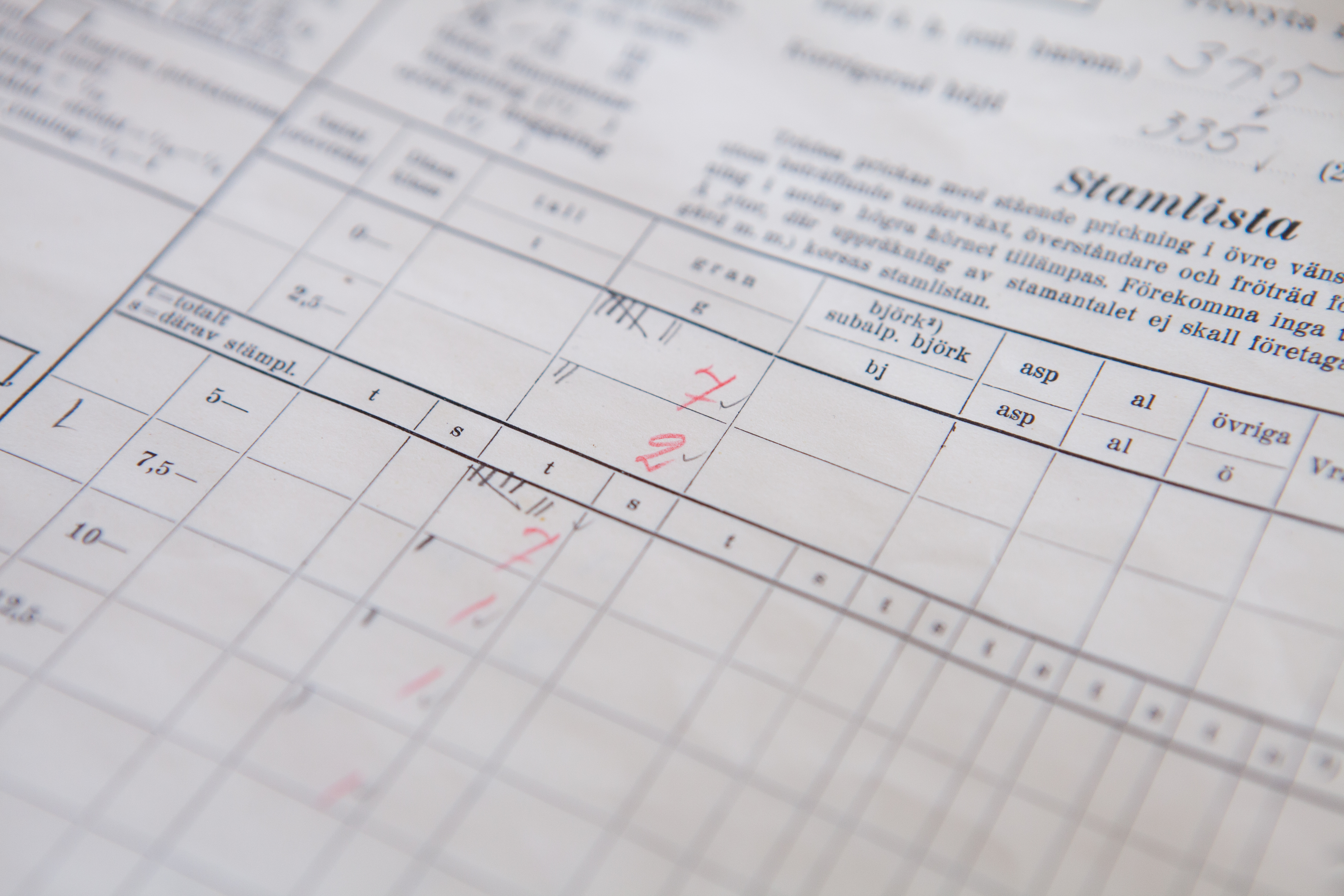 Paper, protocol from forest inventory. Photo.