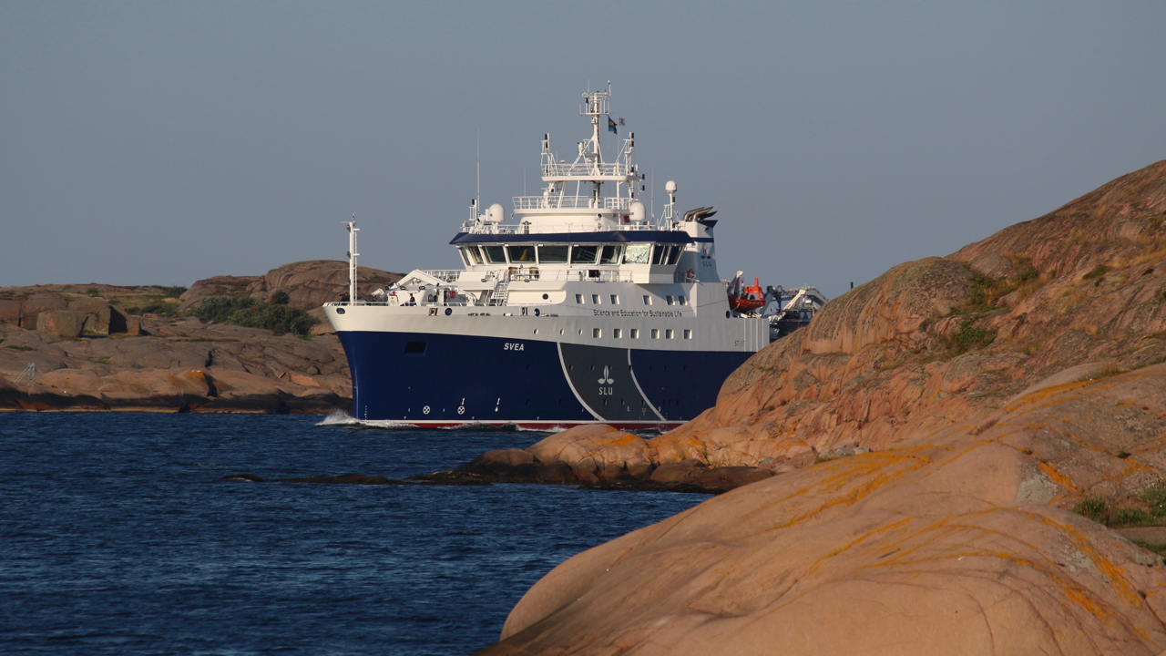 A smaller ship in an archipelago