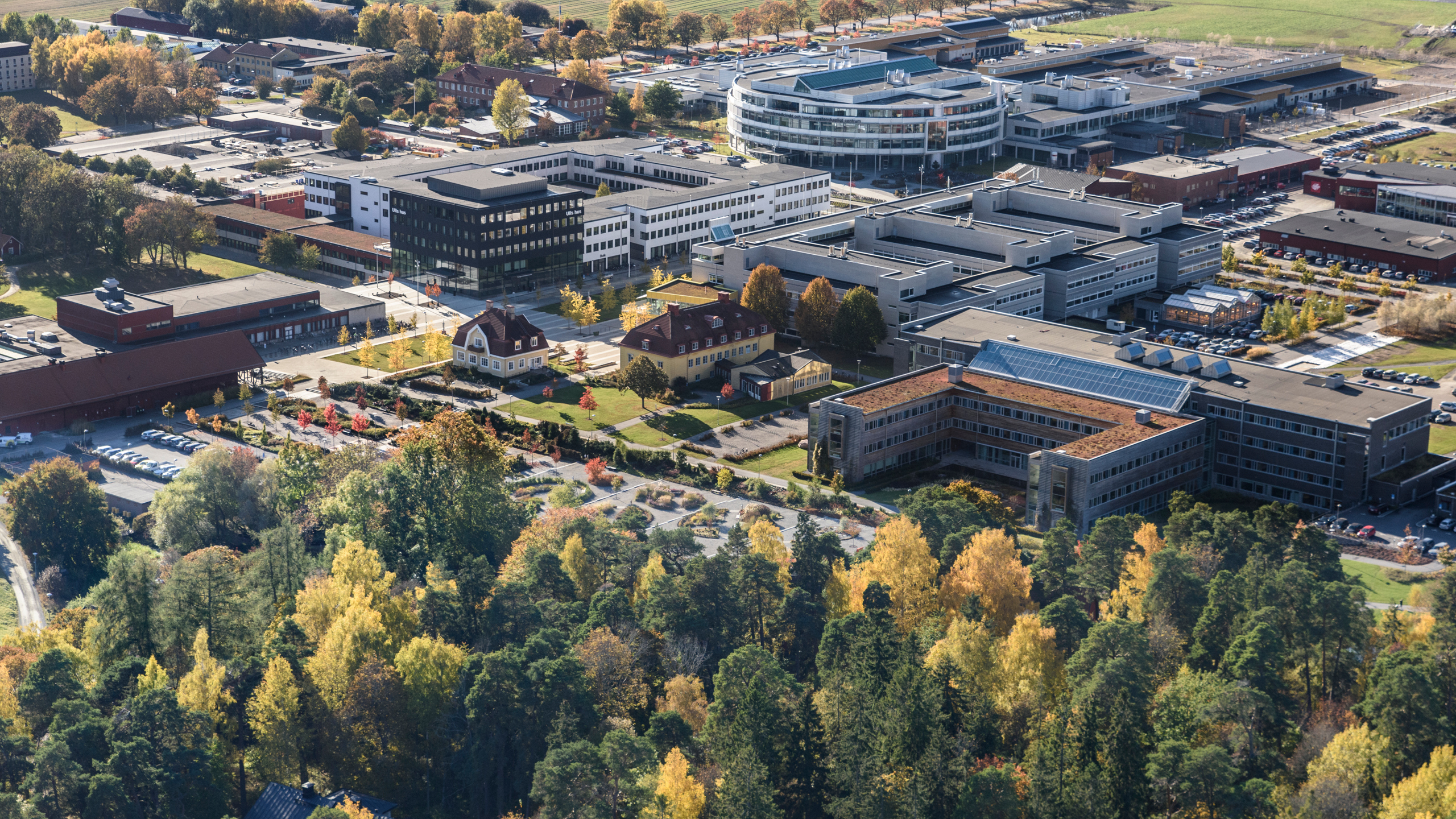 Flygbild över SLU Uppsala, med byggnader, parkmiljö och lite skog i förgrunden.