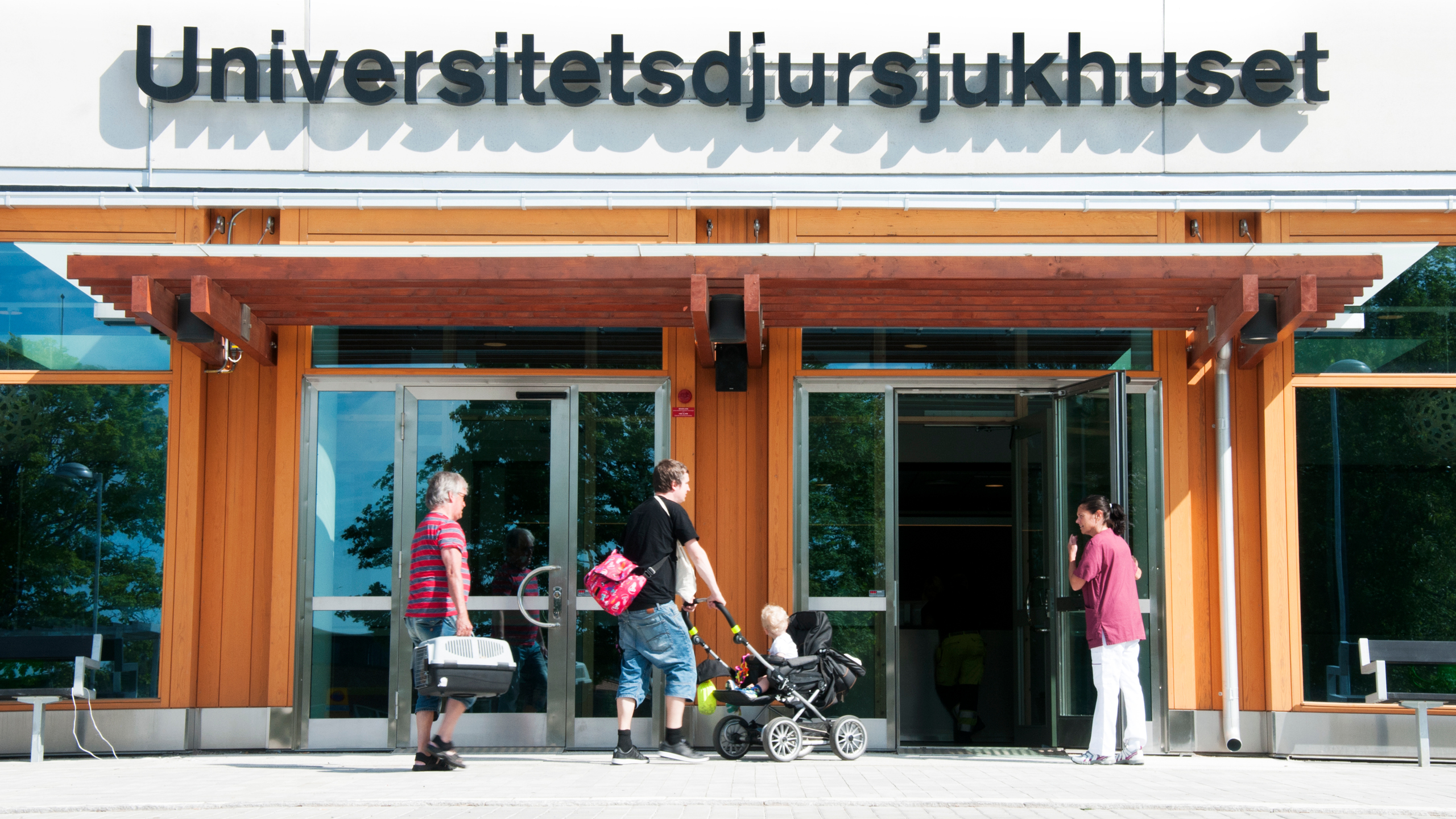 En fasad med en entré som människor och djur går in och ut igenom. Ovanför dörren texten "Universitetsdjursjukhuset".