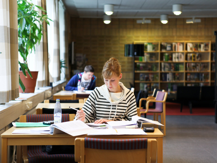 A student is studying in the library