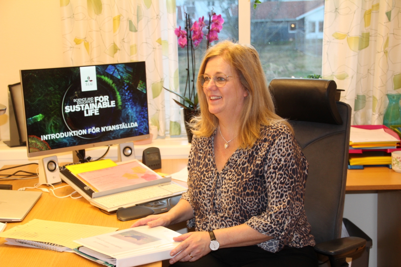 a woman behind a desk with her computer screen in the background
