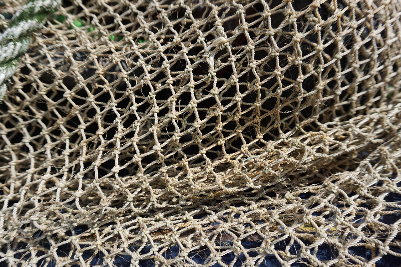 Fiskenät