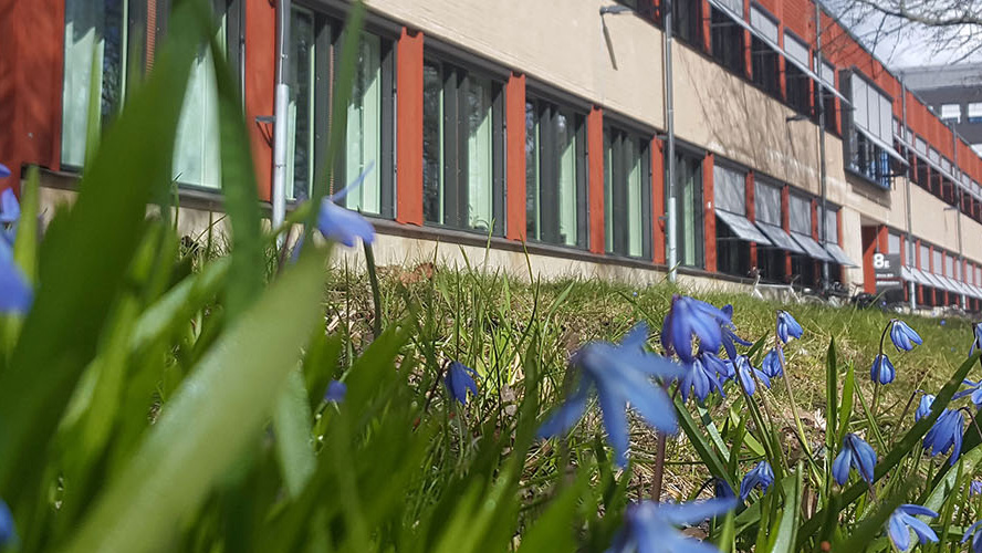 Part of a long, gray and red office building with blue flowers in the foreground. Photo