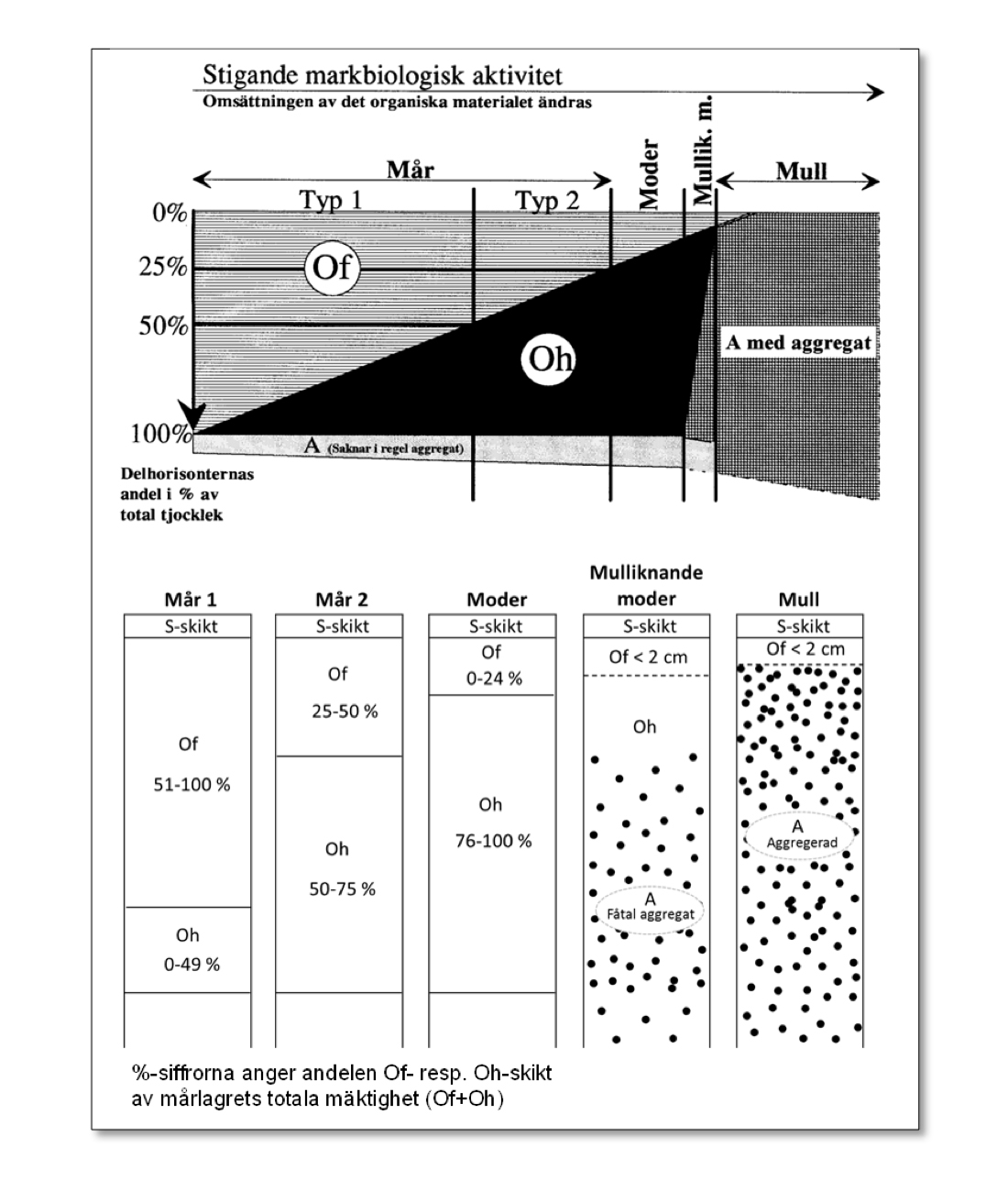 Schematiska förhållanden Of-, Oh och A-horisonterna för humusformerna av mår- och mulltyp