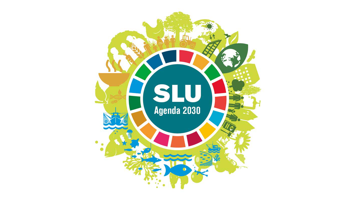 A circle with illustrations in various colours symbolising SLU’s activities frames the text 'SLU Agenda 2030'