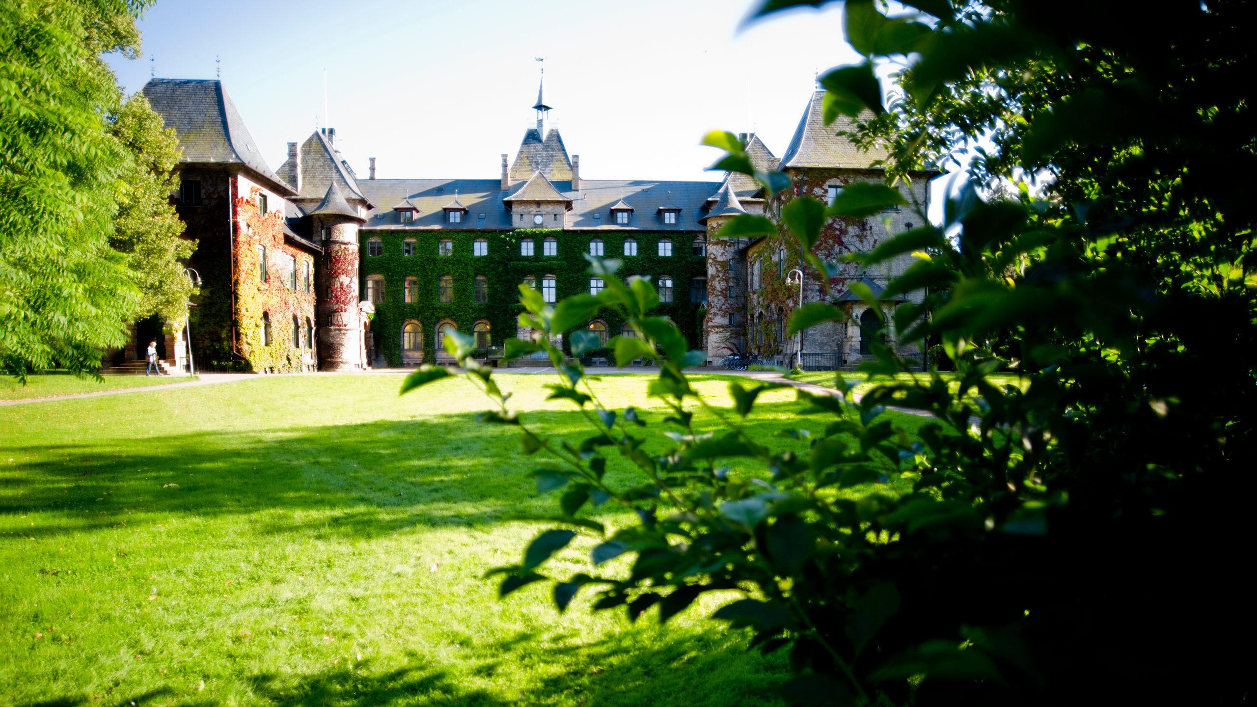 Parc with a castle in the background