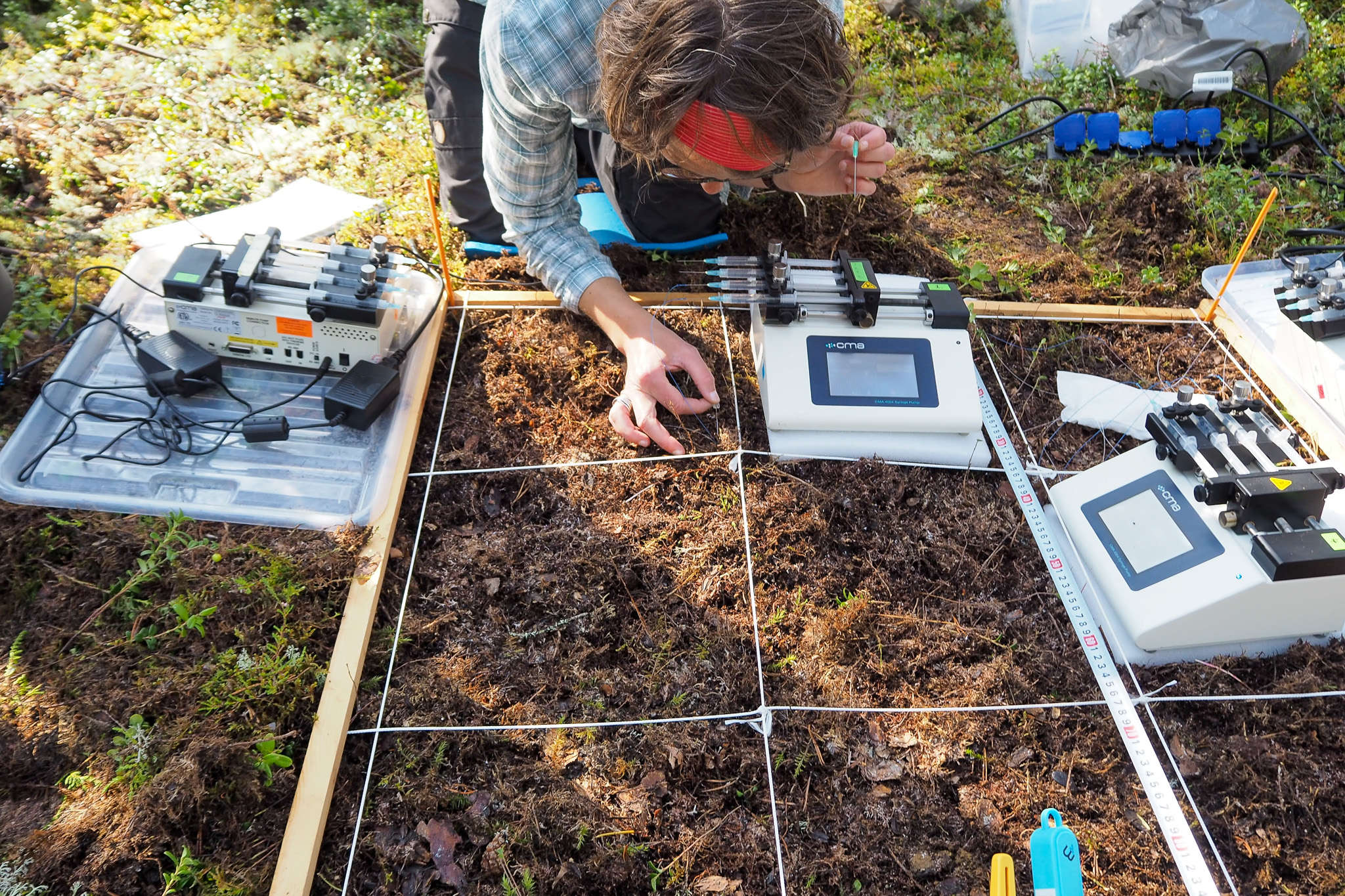 Researcher examining forest soil using measuring equipment.