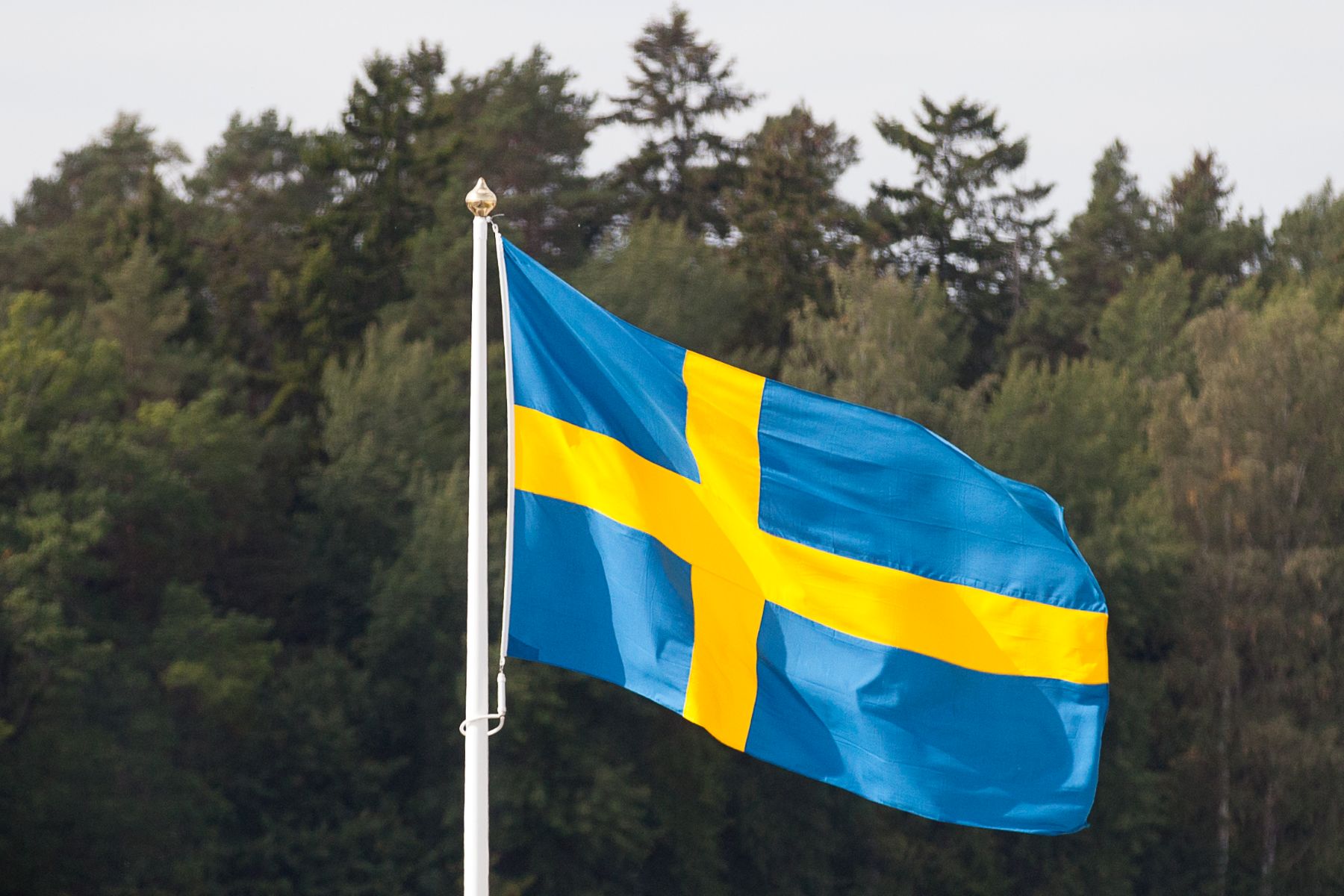 The Swedish flag.