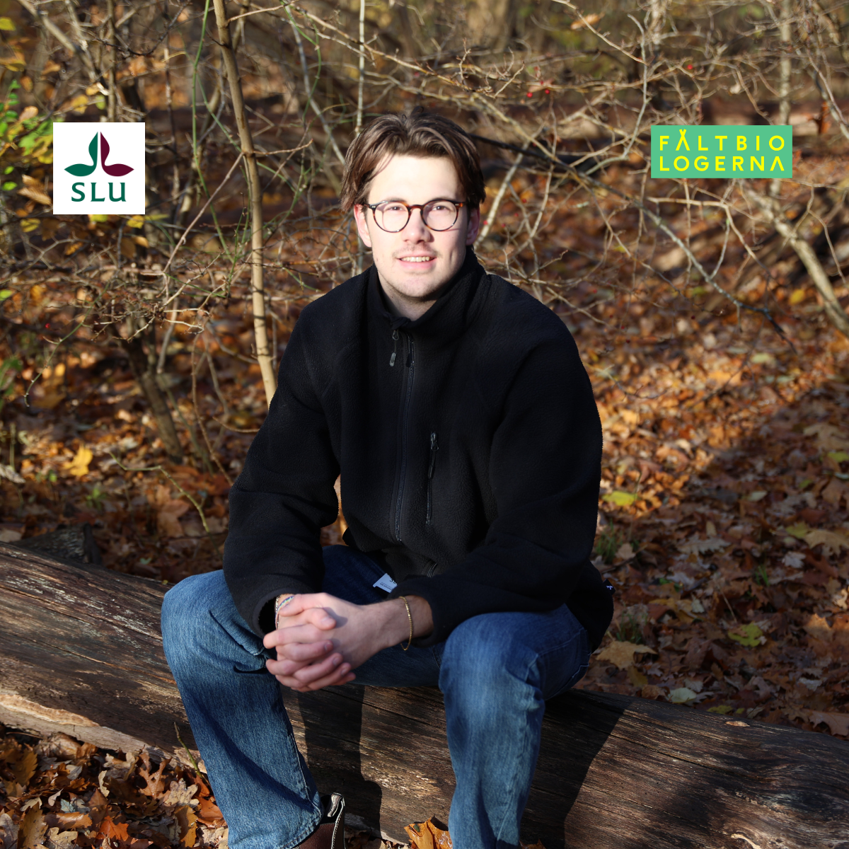 man sitting in the forest