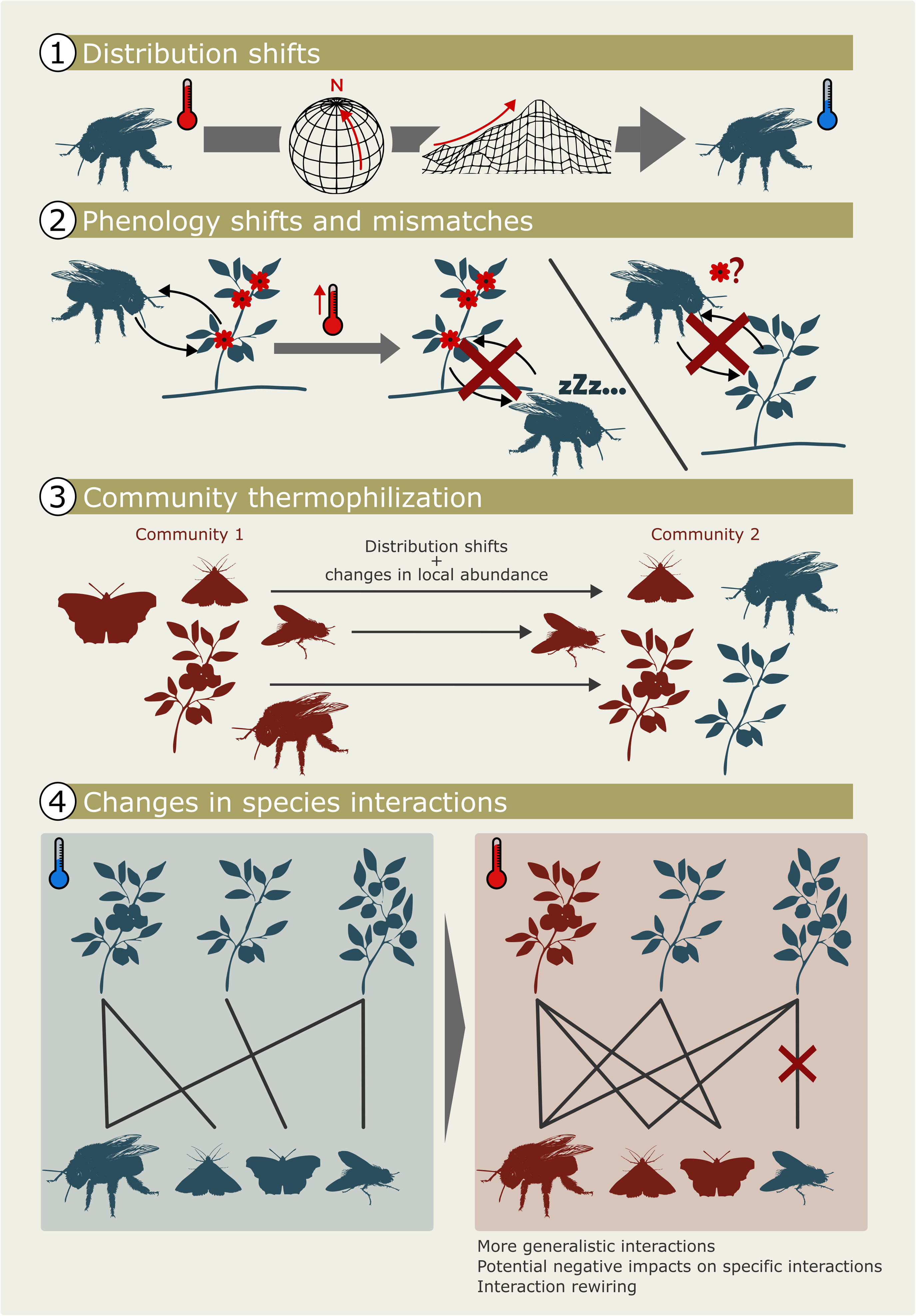 vetenskaplig illustration