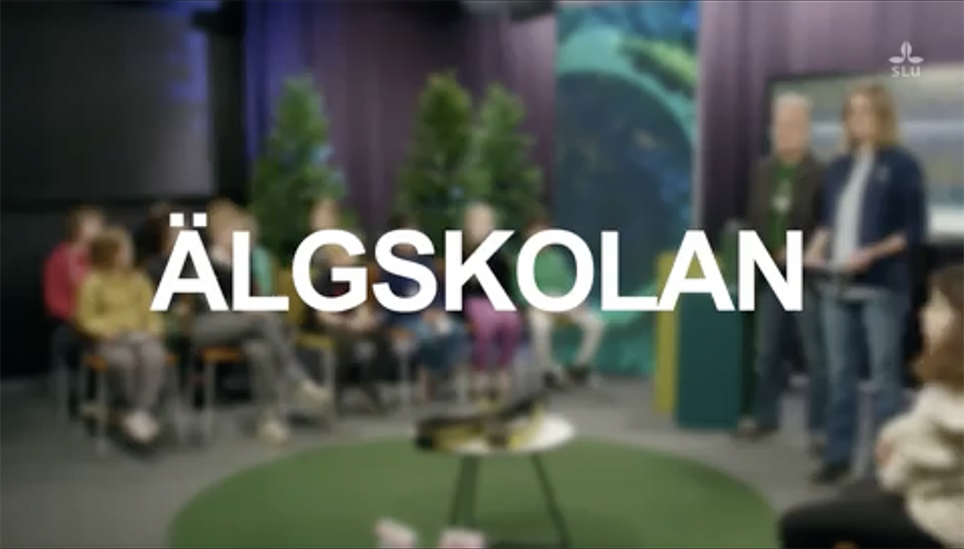 Skärmdump från Älgskolan TV med lågstadiet