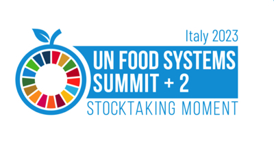 The UN Food Systems Summit.jpg
