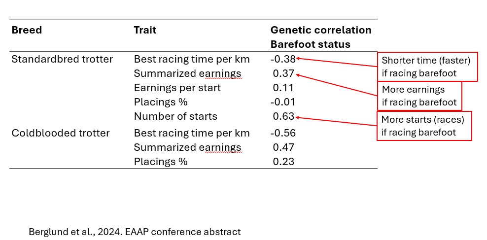 Table showing genetic correlation between racing barefoot and performance traits for trotters