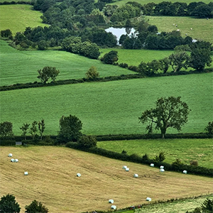 An agricultural landscape. Photo.