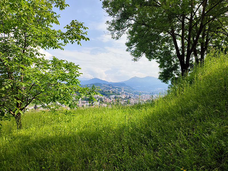 A landscape with grass, mountains and a city. Photo.