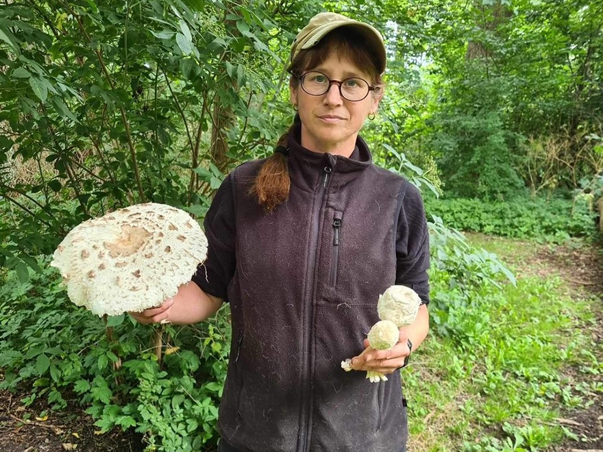 Foto av Tora stående i en skog med flera stora ljusa svampar i händerna. 
