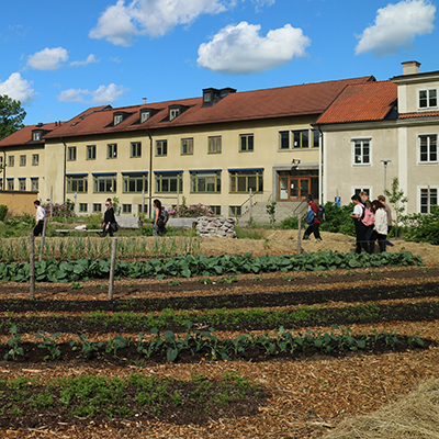 Cultivation beds in front of multi-storey buildings.