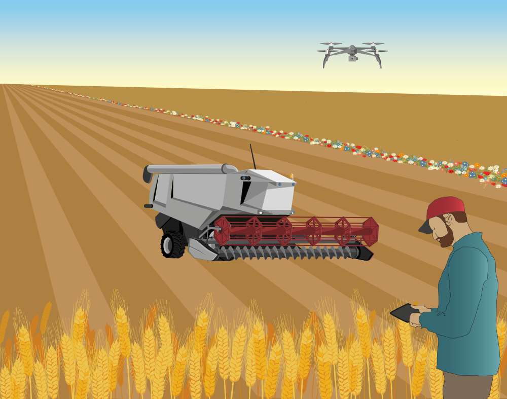 Large scale agriculture with drone technology. Illustration.