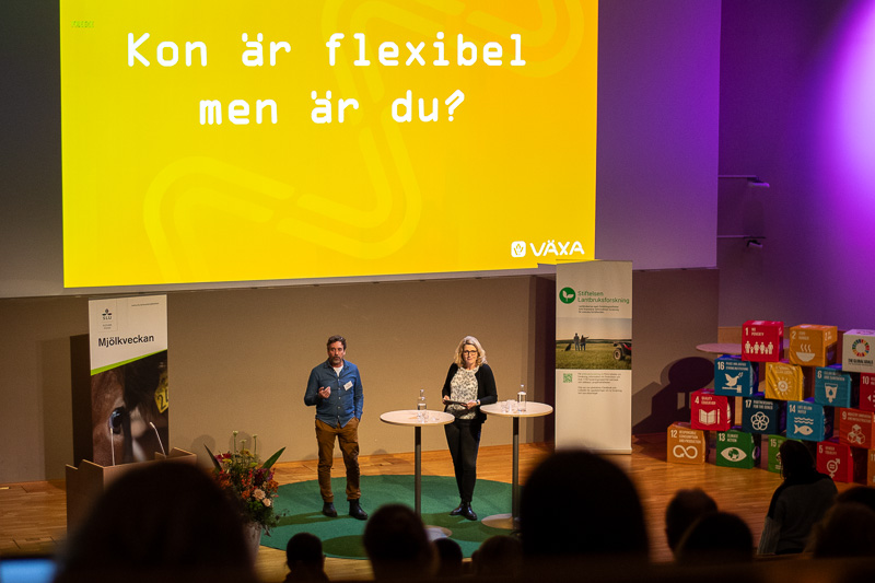 En man och en kvinna på en scen. I bakgrunden står det "Kon är flexibel, men är du?" på en presentation. Foto.