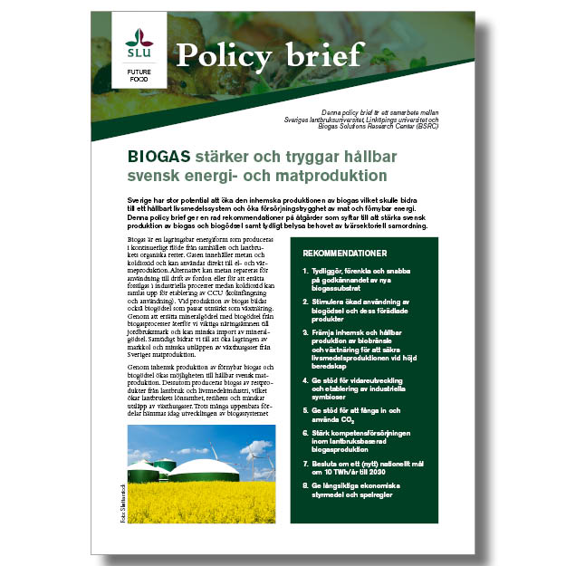 Front cover of policy brief about biogas.